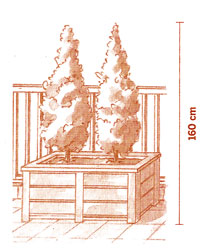 Altura das plantas do jardim