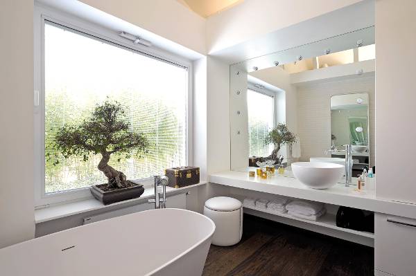 Bonsai numa casa de banho moderna