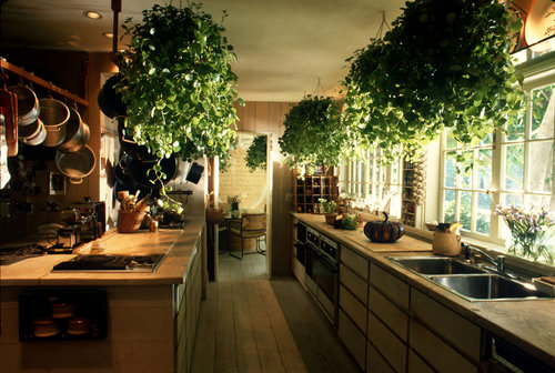 Cozinha com plantas usando a tÃ©cnica do Feng Shui