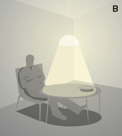 Tipo de Luminária Direcional ou de luz essencialmente direta